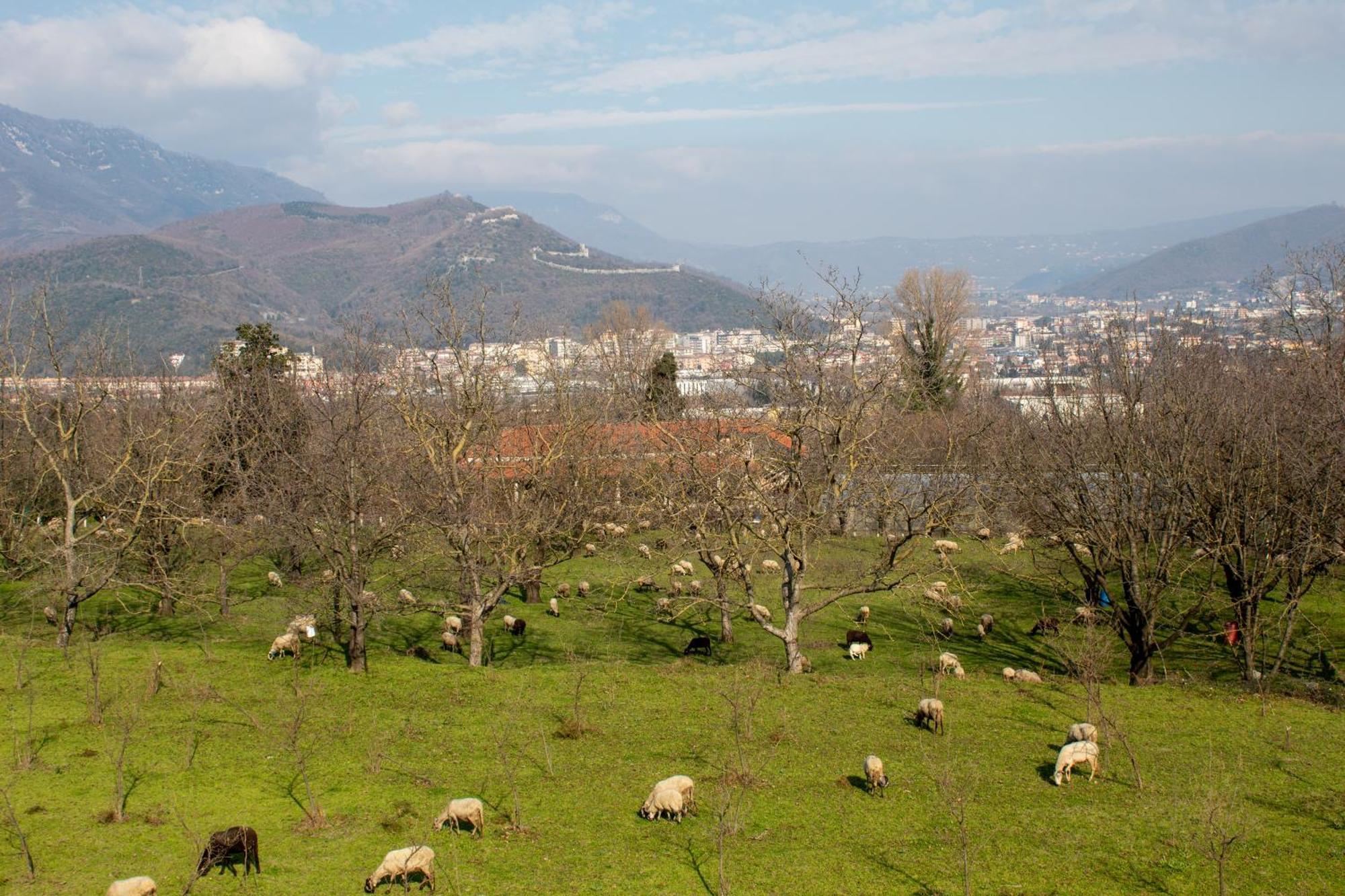 Caledonia B&B Mercato San Severino Dış mekan fotoğraf