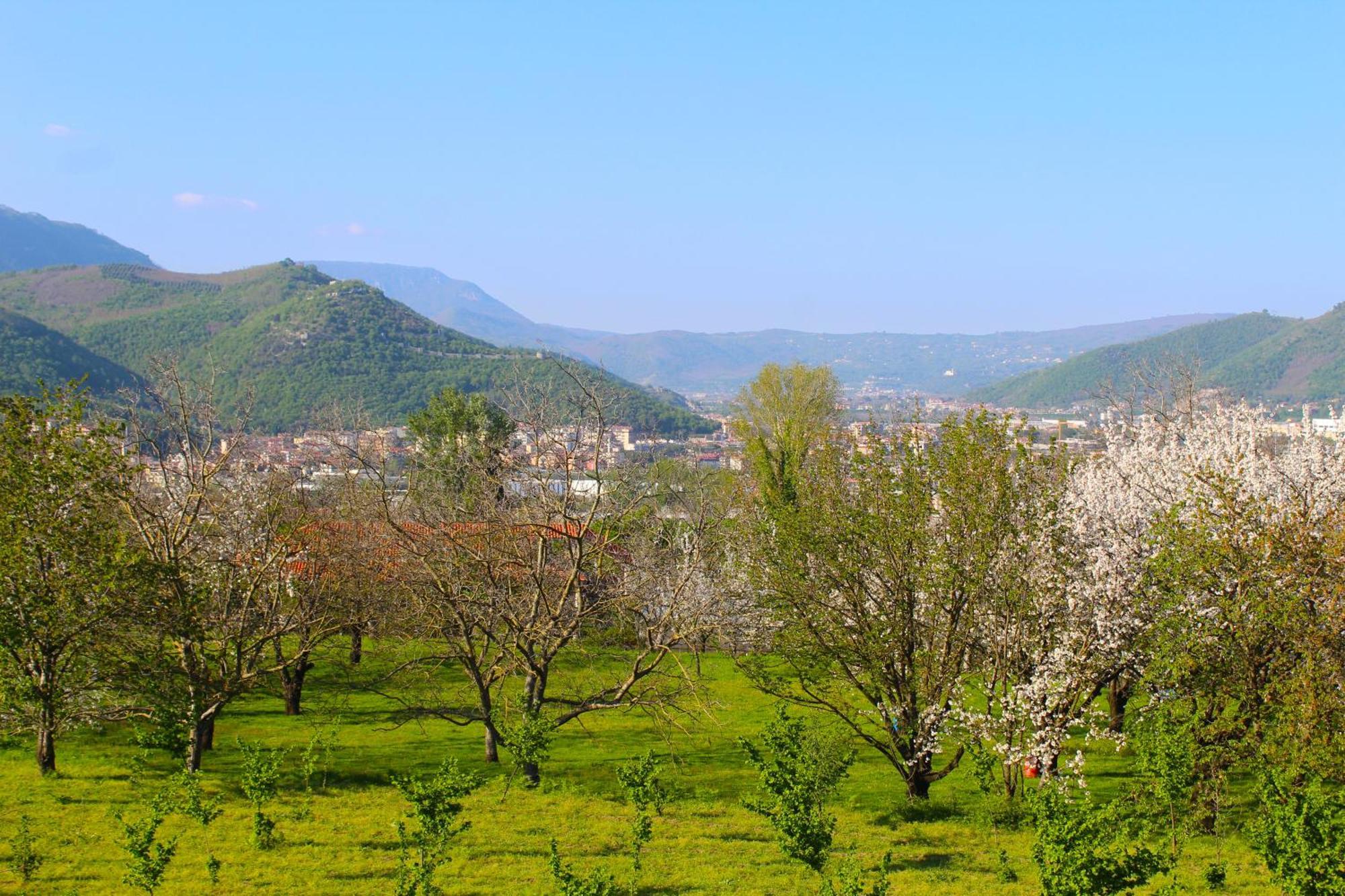 Caledonia B&B Mercato San Severino Dış mekan fotoğraf
