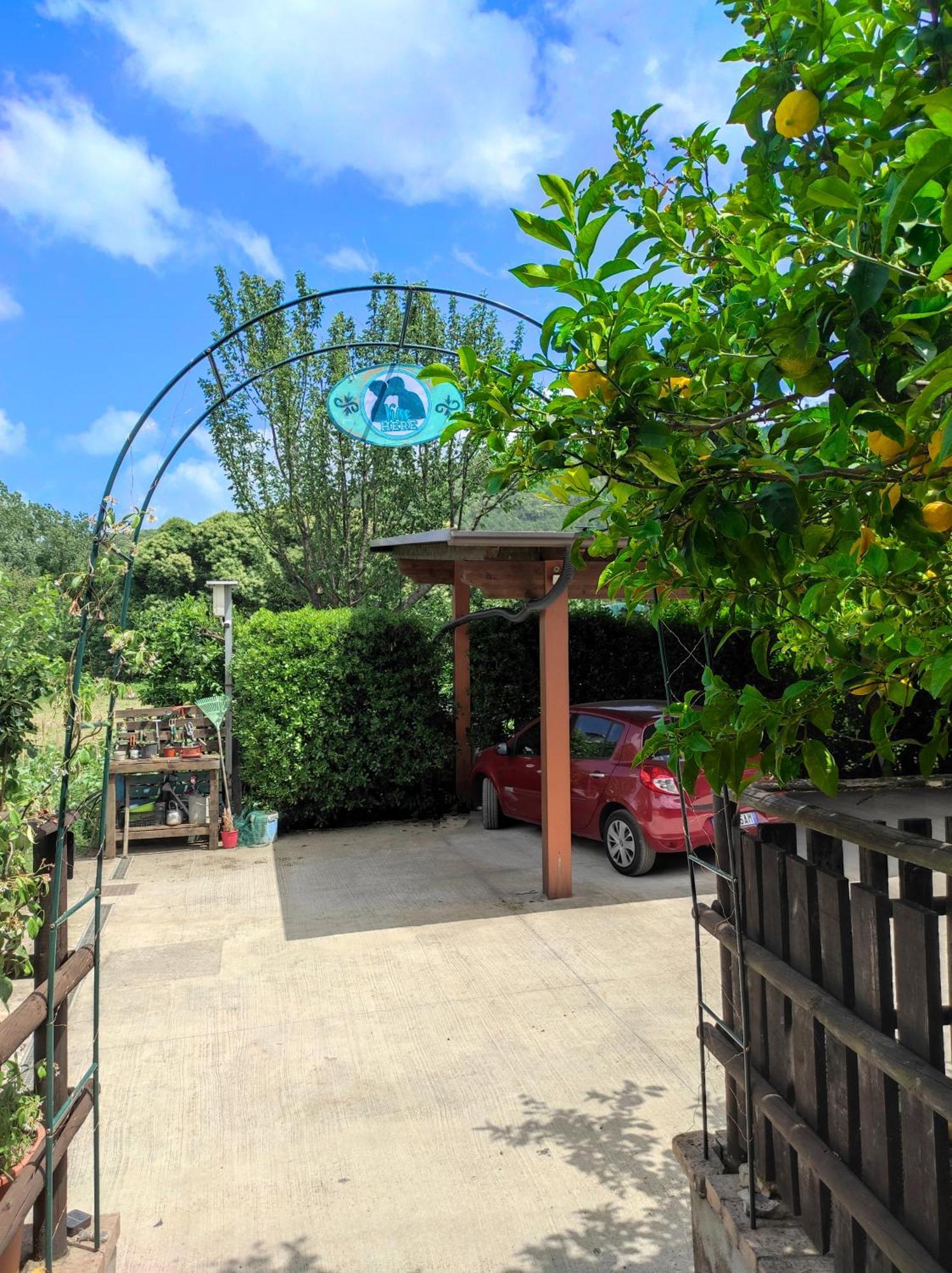 Caledonia B&B Mercato San Severino Dış mekan fotoğraf