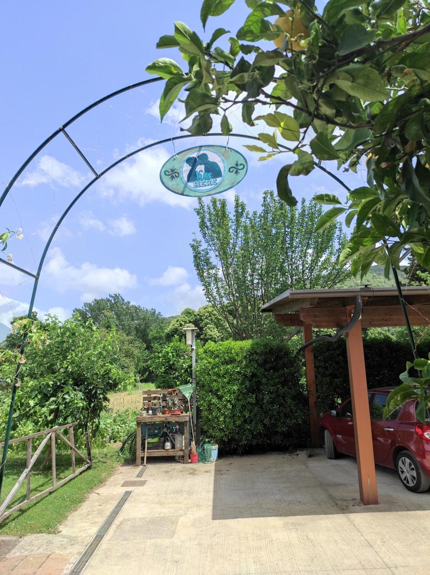 Caledonia B&B Mercato San Severino Dış mekan fotoğraf