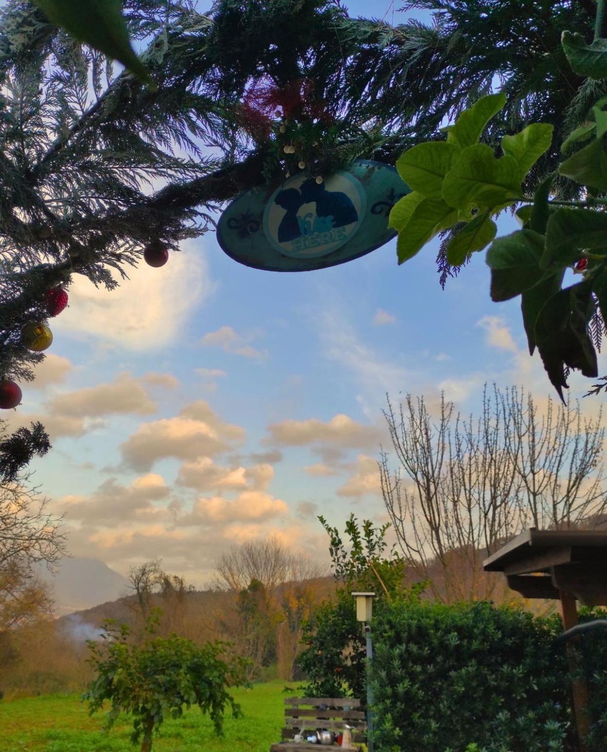 Caledonia B&B Mercato San Severino Dış mekan fotoğraf