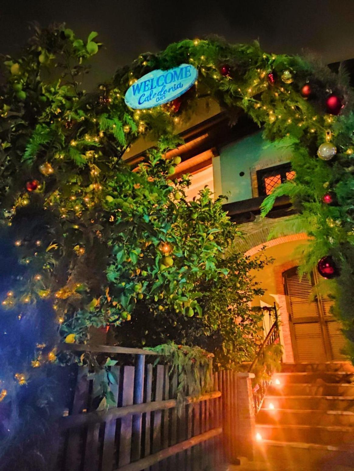 Caledonia B&B Mercato San Severino Dış mekan fotoğraf
